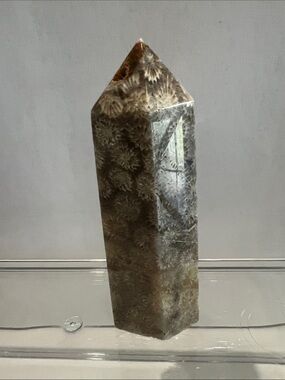 Polished Fossil Coral Point Tower - Brown Tones